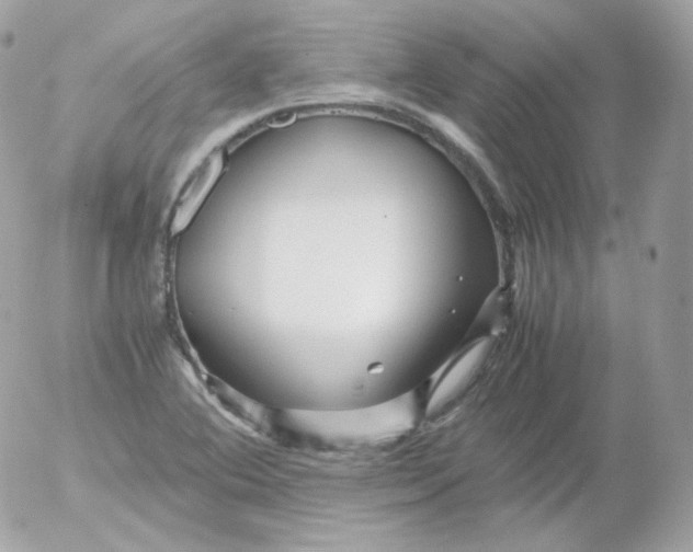 X0000052651364200507221831