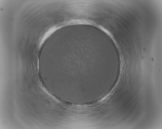 X0000052651365200507221831