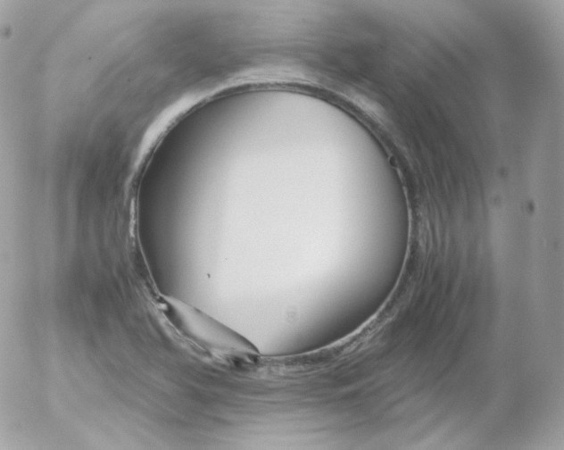 X0000052651366200507221831