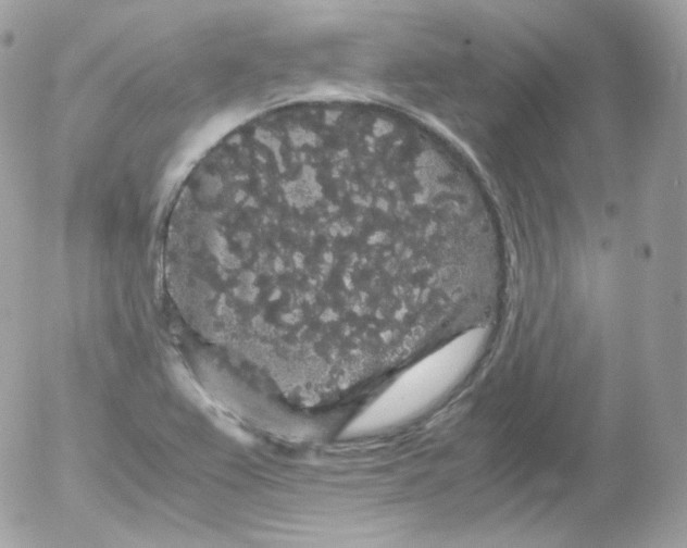 X0000052651367200507221831