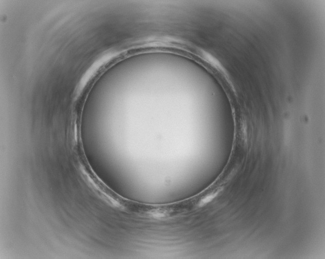 X0000052651368200507221831