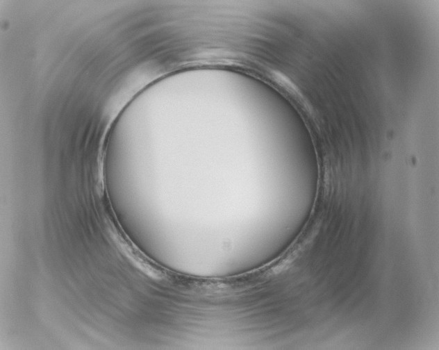 X0000052651370200507221831