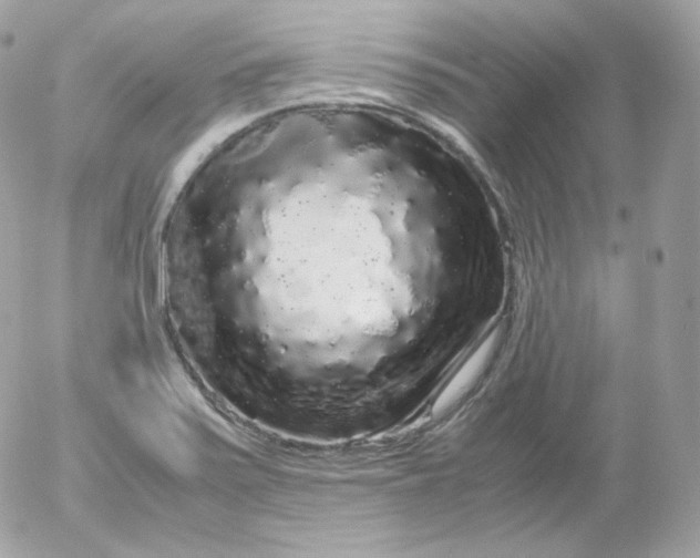 X0000052651371200507221831