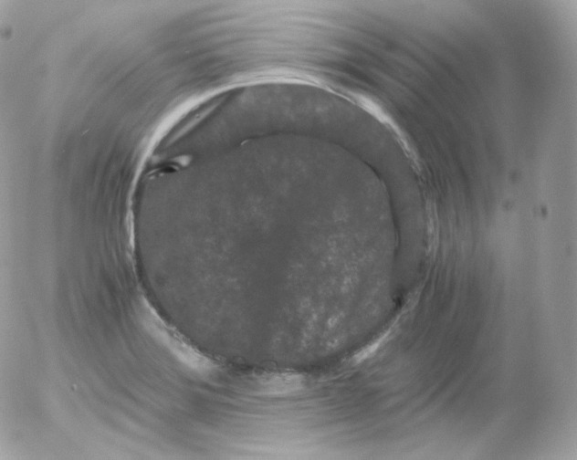 X0000052651372200507221831