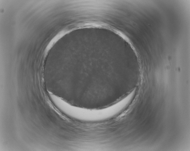 X0000052651373200507221831