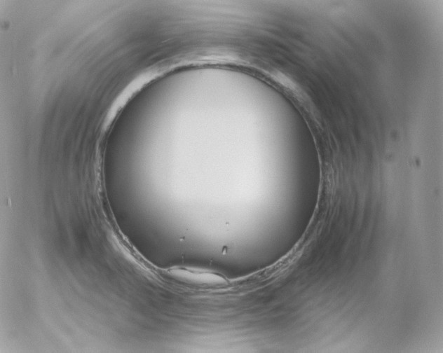 X0000052651374200507221831