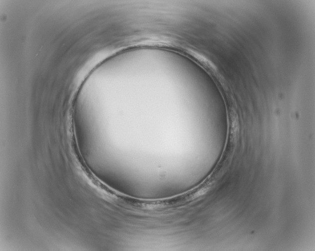 X0000052651375200507221831