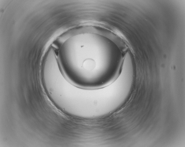 X0000052651376200507221831