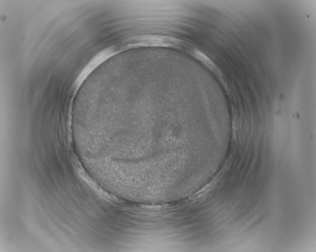 X0000052651378200507221830