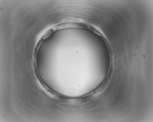 X0000052651379200507221830