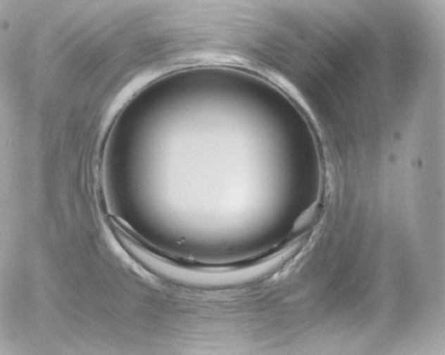 X0000052651381200507221830