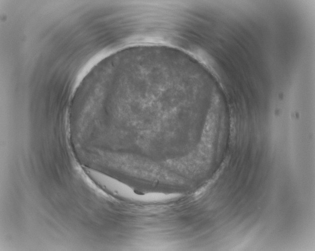 X0000052651382200507221830