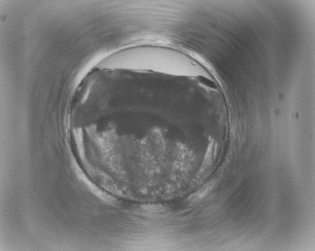 X0000052651383200507221830