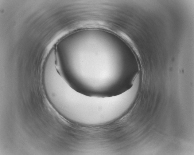 X0000052651384200507221830