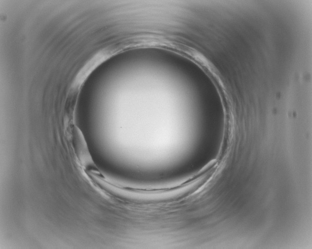 X0000052651385200507221830