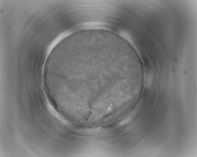 X0000052651386200507221830