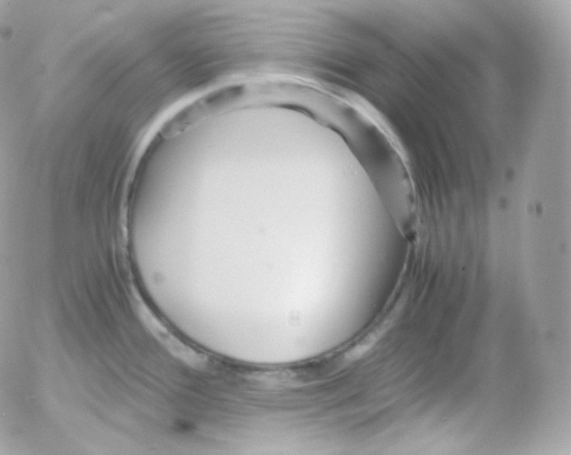 X0000052651388200507221830