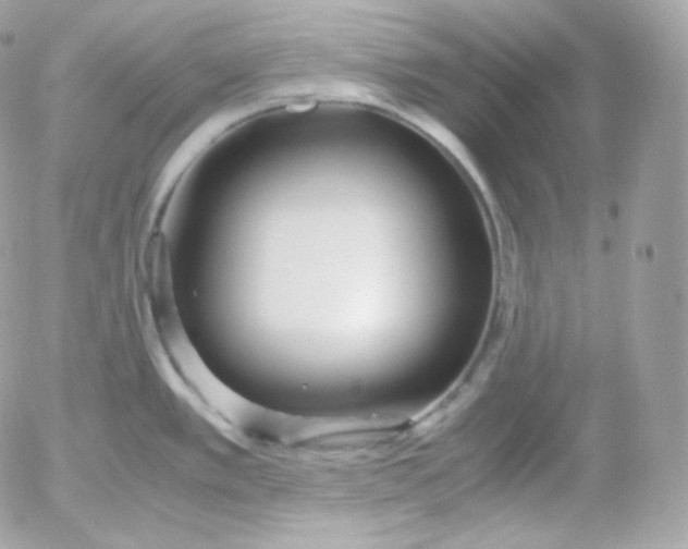 X0000052651389200507221830