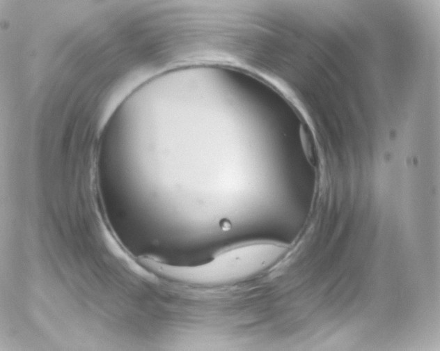 X0000052651390200507221830