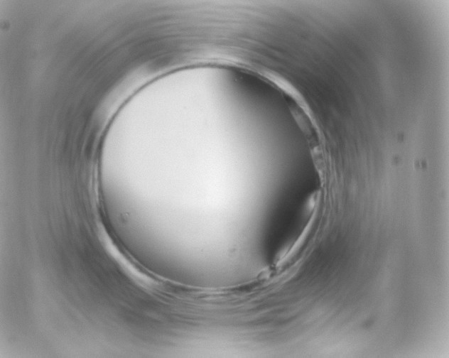 X0000052651391200507221830