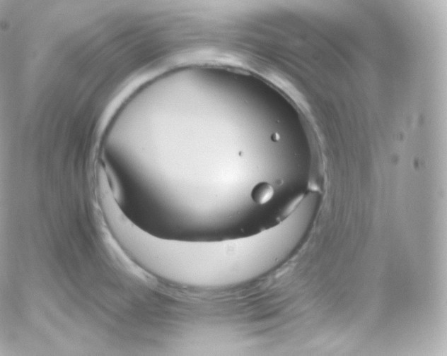 X0000052651392200507221830