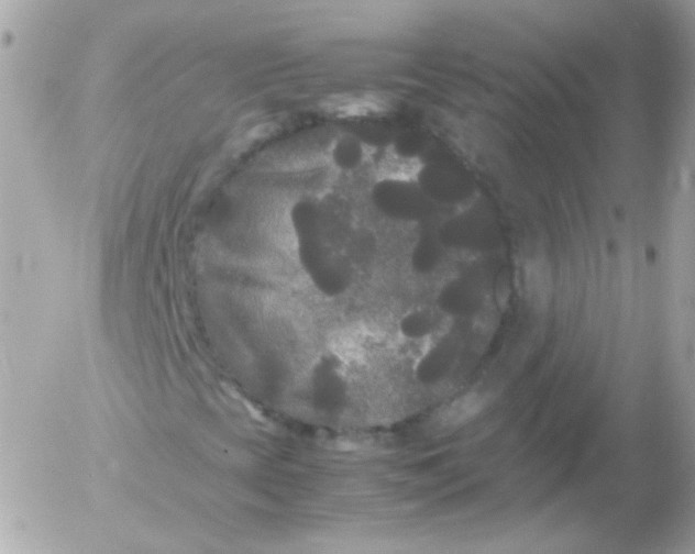 X0000052651393200507221829