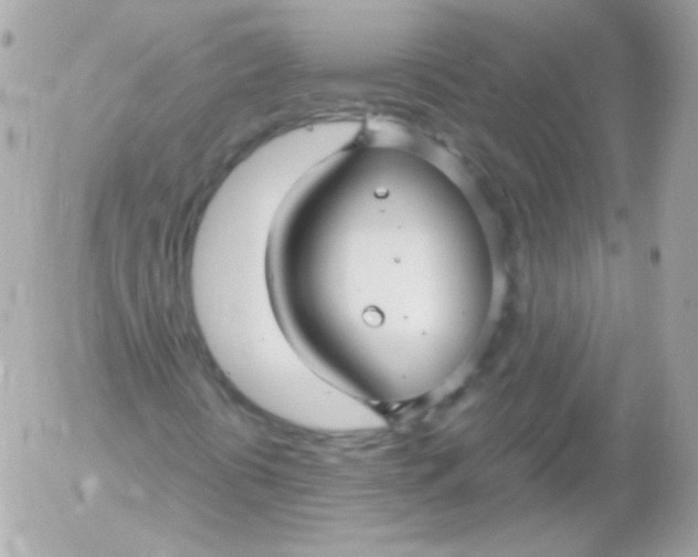 X0000052651394200507221829