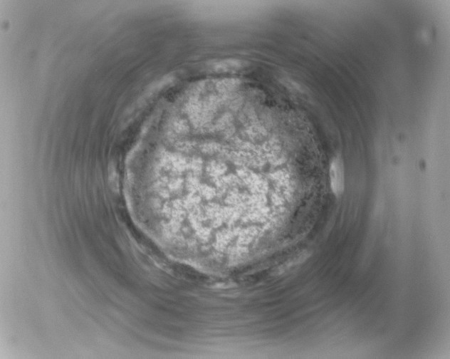 X0000052651395200507221829