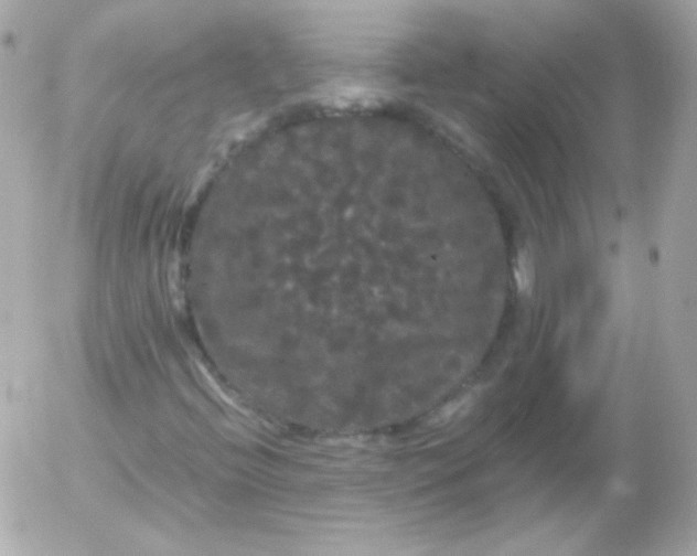 X0000052651396200507221830