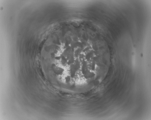 X0000052651397200507221830