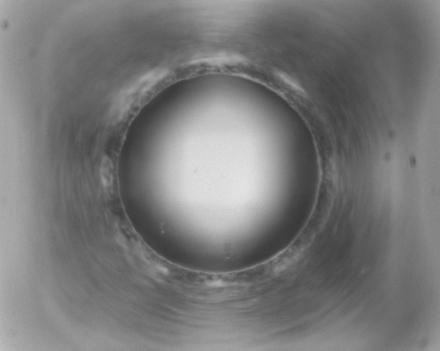 X0000052651398200507221830