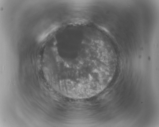 X0000052651399200507221830