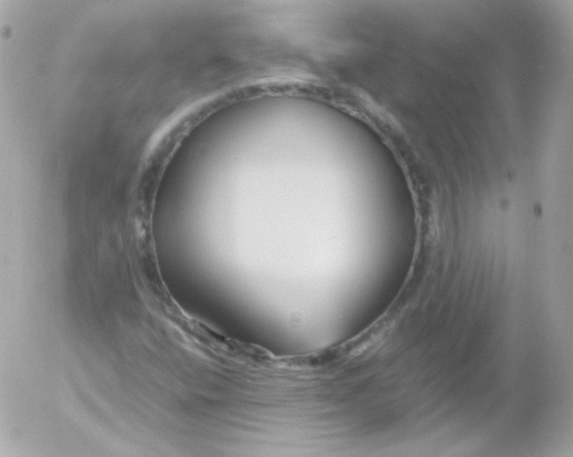 X0000052651400200507221830