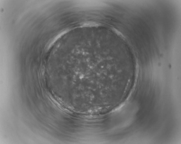 X0000052651401200507221830