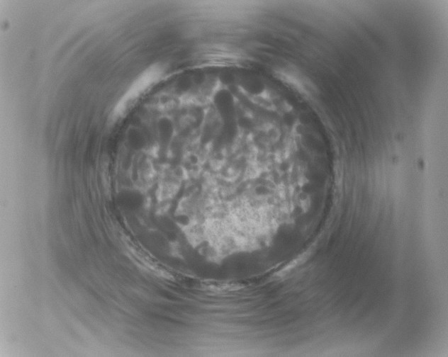 X0000052651403200507221830