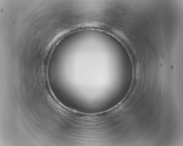 X0000052651404200507221830