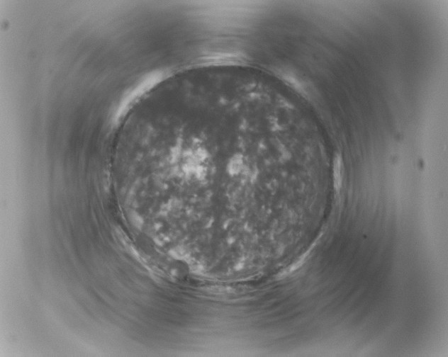 X0000052651405200507221830