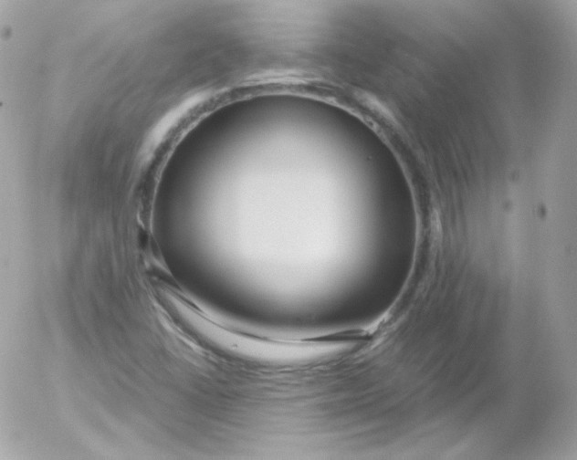 X0000052651406200507221830