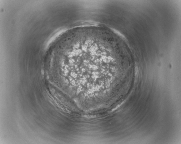 X0000052651407200507221830