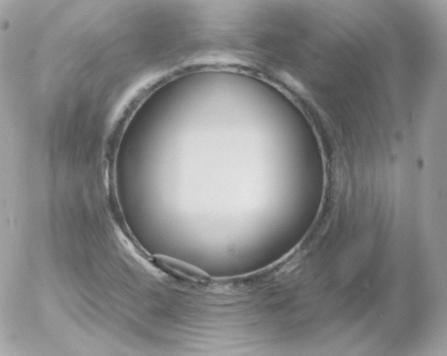 X0000052651408200507221830