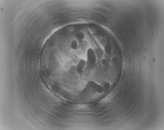 X0000052651409200507221830