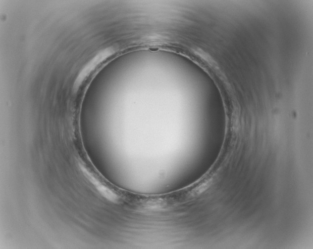 X0000052651410200507221830