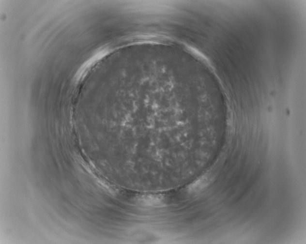 X0000052651411200507221830