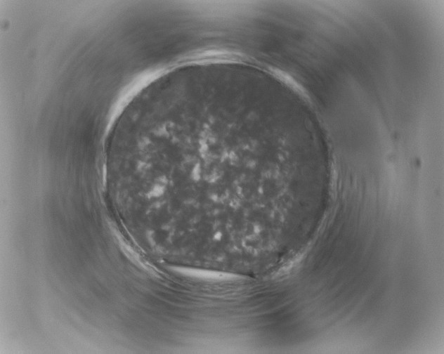 X0000052651413200507221830