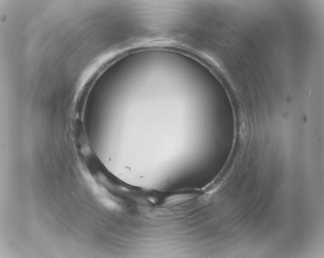 X0000052651414200507221830