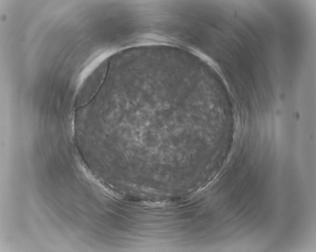 X0000052651415200507221830