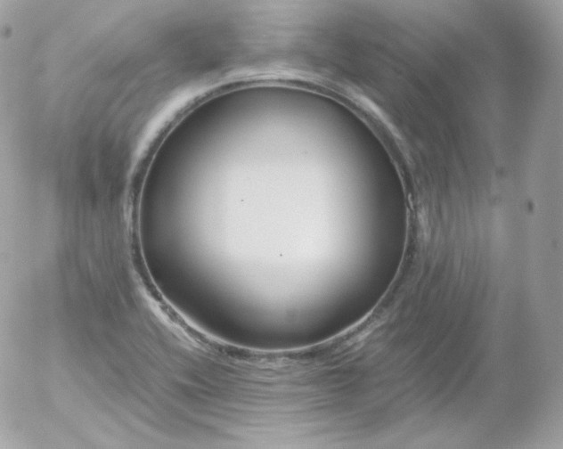 X0000052651416200507221830