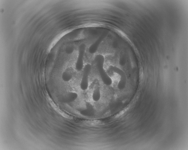 X0000052651417200507221830