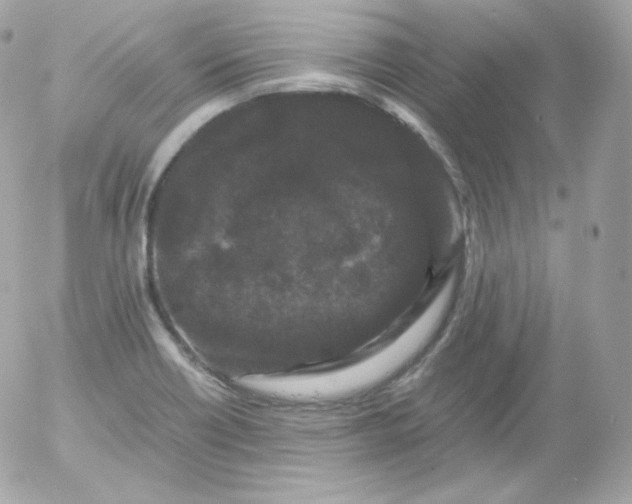 X0000052651418200507221830