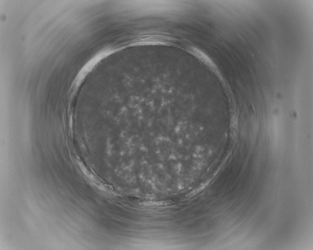 X0000052651419200507221830